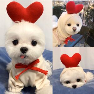 2 Style · L