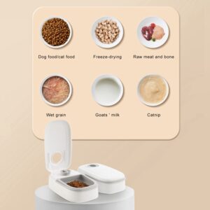 2 in 1 Gravity Pet Feeder and Water Dispenser for Cats and Dogs