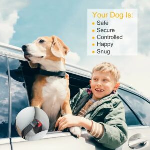 2 Pack Adjustable Nylon Dog and Cat Car Seatbelt Leash with Swivel Carabiner