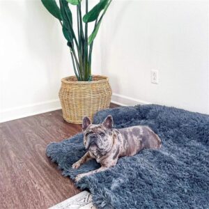 Plush Dog Couch Bed with Bolster, Shaggy Sofa Cover for Dogs and Cats