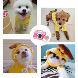 Cute Fruit Dog Hoodie, Warm Fleece Sweater for Small Dogs and Cats with Drawstring