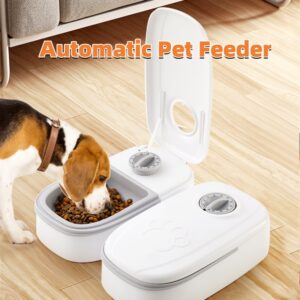 2 in 1 Gravity Pet Feeder and Water Dispenser for Cats and Dogs