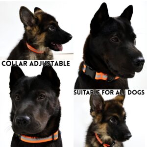 Reflective PVC Dog Leash Set, Waterproof Leash for Nighttime Walks