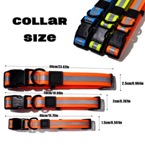 Reflective PVC Dog Leash Set, Waterproof Leash for Nighttime Walks